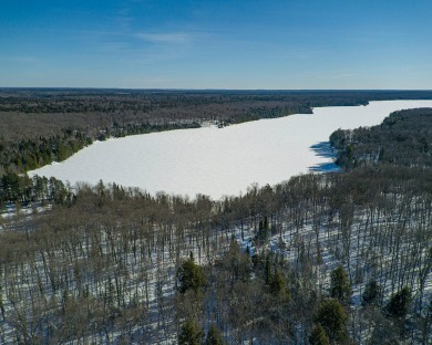 Duck Lake - Gogebic County Acreage For Sale in Watersmeet Michigan