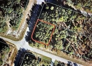 Lake Lot For Sale in Ocklawaha, Florida