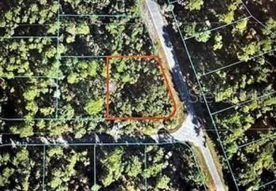 Lake Lot For Sale in Ocklawaha, Florida