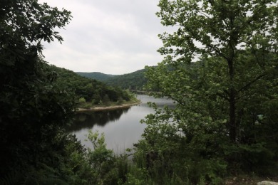 Lake Lot For Sale in Lampe, Missouri