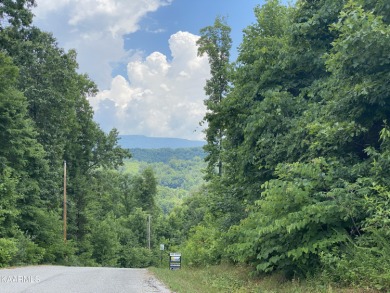Lake access and seasonal lakeview corner lot 110 is very close - Lake Lot For Sale in Speedwell, Tennessee