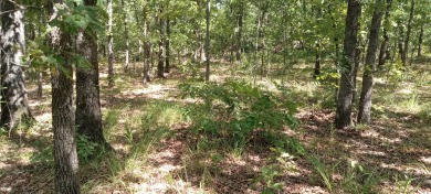 Lake Acreage Off Market in Tuskahoma, Oklahoma