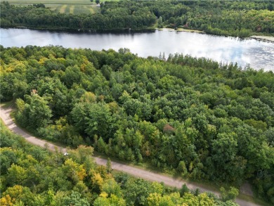 (private lake, pond, creek) Lot For Sale in Bruce Wisconsin