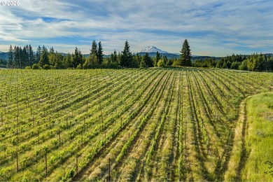Set in the rolling White Salmon hills with views of Mt. Hood and - photo 39