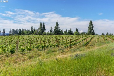 Set in the rolling White Salmon hills with views of Mt. Hood and - photo 40