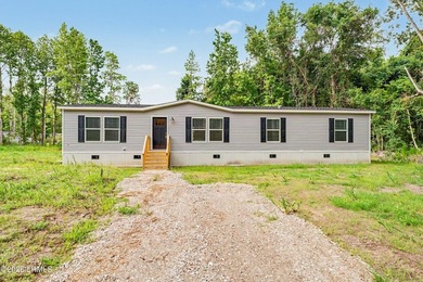 BRAND NEW mobile home with .5 acres! This spacious 4-bedroom - photo 1