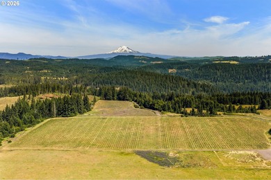 Set in the rolling White Salmon hills with views of Mt. Hood and - photo 41