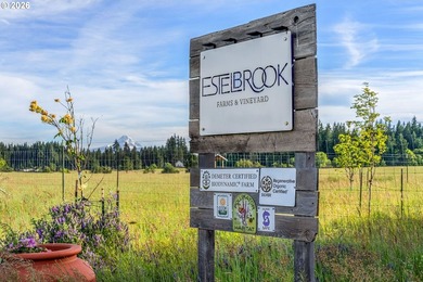 Set in the rolling White Salmon hills with views of Mt. Hood and - photo 42