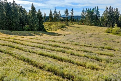 Set in the rolling White Salmon hills with views of Mt. Hood and - photo 43