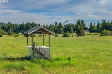 Set in the rolling White Salmon hills with views of Mt. Hood and - photo 44