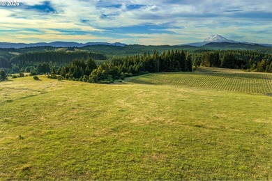 Set in the rolling White Salmon hills with views of Mt. Hood and - photo 45