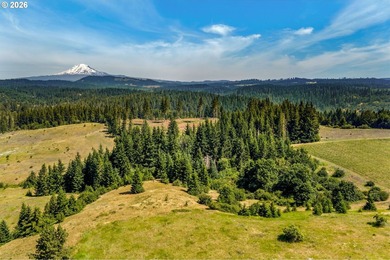 Set in the rolling White Salmon hills with views of Mt. Hood and - photo 46