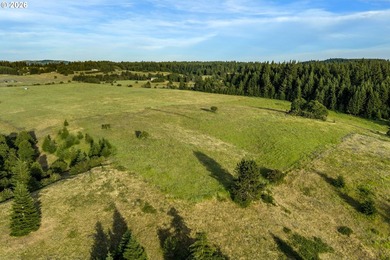 Set in the rolling White Salmon hills with views of Mt. Hood and - photo 47