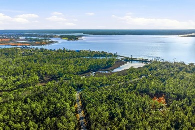 Deer Point Lake Acreage For Sale in Panama City Florida