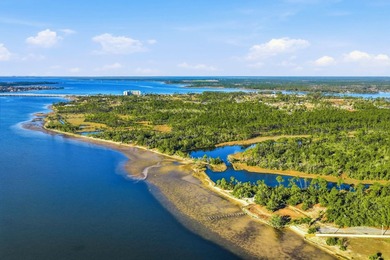 The Sanctuary is a 241-acre master planned residential community - photo 8