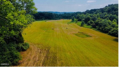 Clinch River - Anderson County Lot For Sale in Andersonville Tennessee