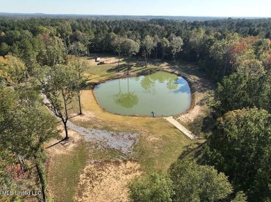 (private lake, pond, creek) Acreage For Sale in Florence Mississippi