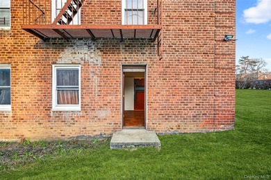 Spacious and sun-filled open-concept one-bedroom home located in - photo 17