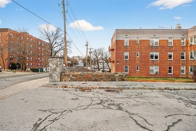 Spacious and sun-filled open-concept one-bedroom home located in - photo 20