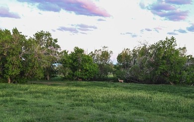 Chalk Buttes Ranch is a rare Wyoming offering, combining - photo 28