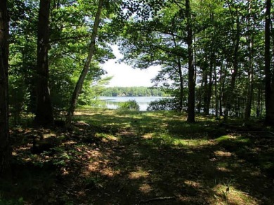 Lake Lot For Sale in Lyman, Maine