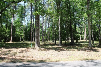 Lake Lot For Sale in Chatham, Louisiana