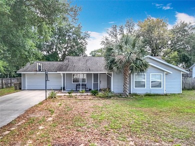 (private lake, pond, creek) Home For Sale in Leesburg Florida