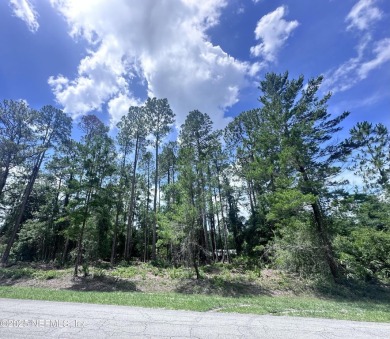 Lake Lot For Sale in Georgetown, Florida