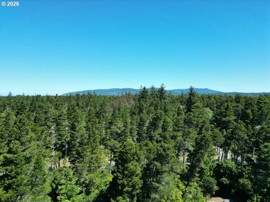 Nestled in a peaceful wooded setting within the desirable Heceta - photo 45
