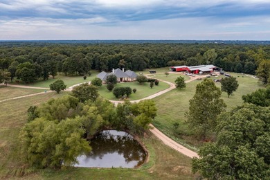 (private lake, pond, creek) Home For Sale in Caddo Oklahoma