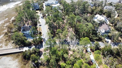 Islands of Beaufort offering an exclusive corner lot on Cotton - photo 2