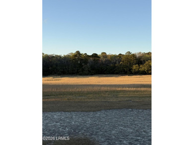 Islands of Beaufort offering an exclusive corner lot on Cotton - photo 4