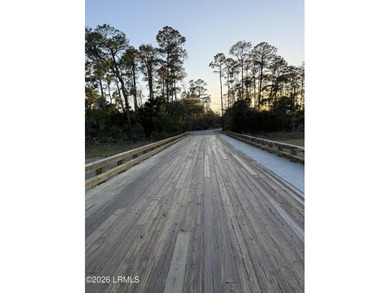 Islands of Beaufort offering an exclusive corner lot on Cotton - photo 5