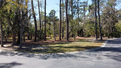 Islands of Beaufort offering an exclusive corner lot on Cotton - photo 6