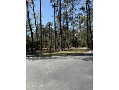 Islands of Beaufort offering an exclusive corner lot on Cotton - photo 7