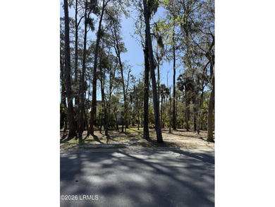 Islands of Beaufort offering an exclusive corner lot on Cotton - photo 10