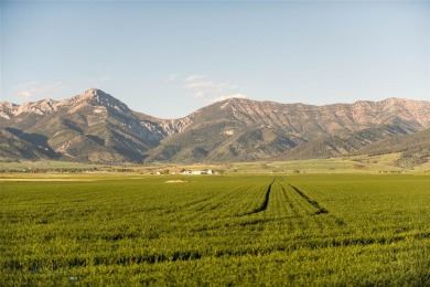 Lake Home For Sale in Belgrade, Montana