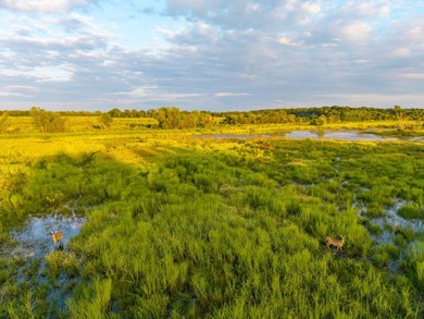 Introducing the Neosho River Hunting Mecca, an incredible 754 - photo 20