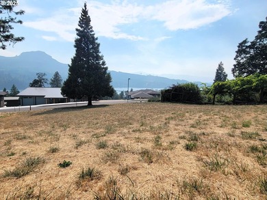 Ready to build overlooking Dexter Lake. Utilities at the street - photo 2