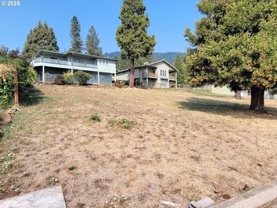 Ready to build overlooking Dexter Lake. Utilities at the street - photo 3