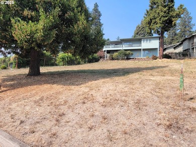 Ready to build overlooking Dexter Lake. Utilities at the street - photo 4