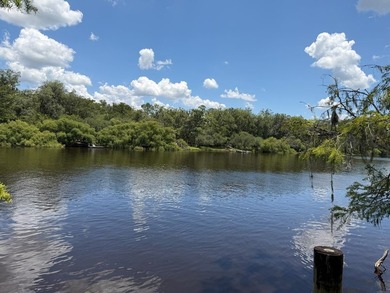 Wake up to breathtaking views of the Suwannee River from this - photo 39