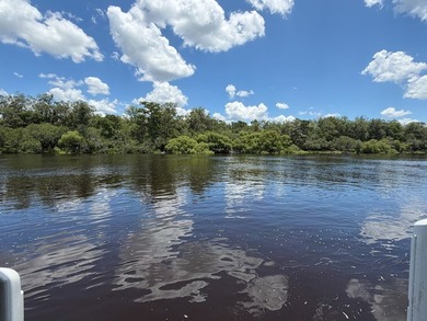 Wake up to breathtaking views of the Suwannee River from this - photo 46