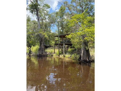 Wake up to breathtaking views of the Suwannee River from this - photo 48