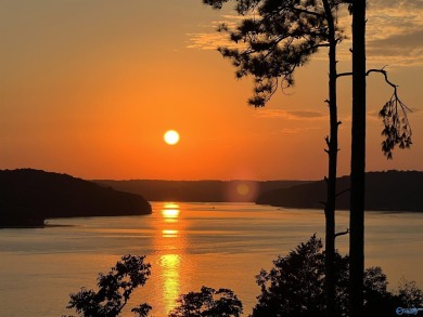 Lake Lot For Sale in Guntersville, Alabama