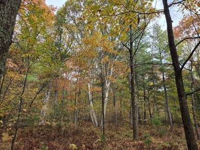 (private lake, pond, creek) Acreage For Sale in Beecher Wisconsin