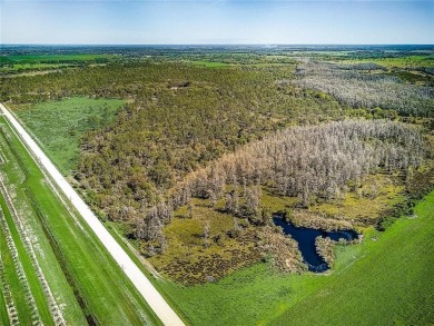 (private lake, pond, creek) Acreage For Sale in Zolfo Springs Florida