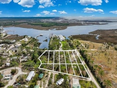 Welcome to this prime chunk of Florida paradise! This 3.03 acre - photo 1