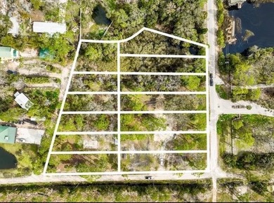 Welcome to this prime chunk of Florida paradise! This 3.03 acre - photo 2