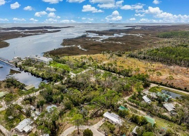 Welcome to this prime chunk of Florida paradise! This 3.03 acre - photo 4